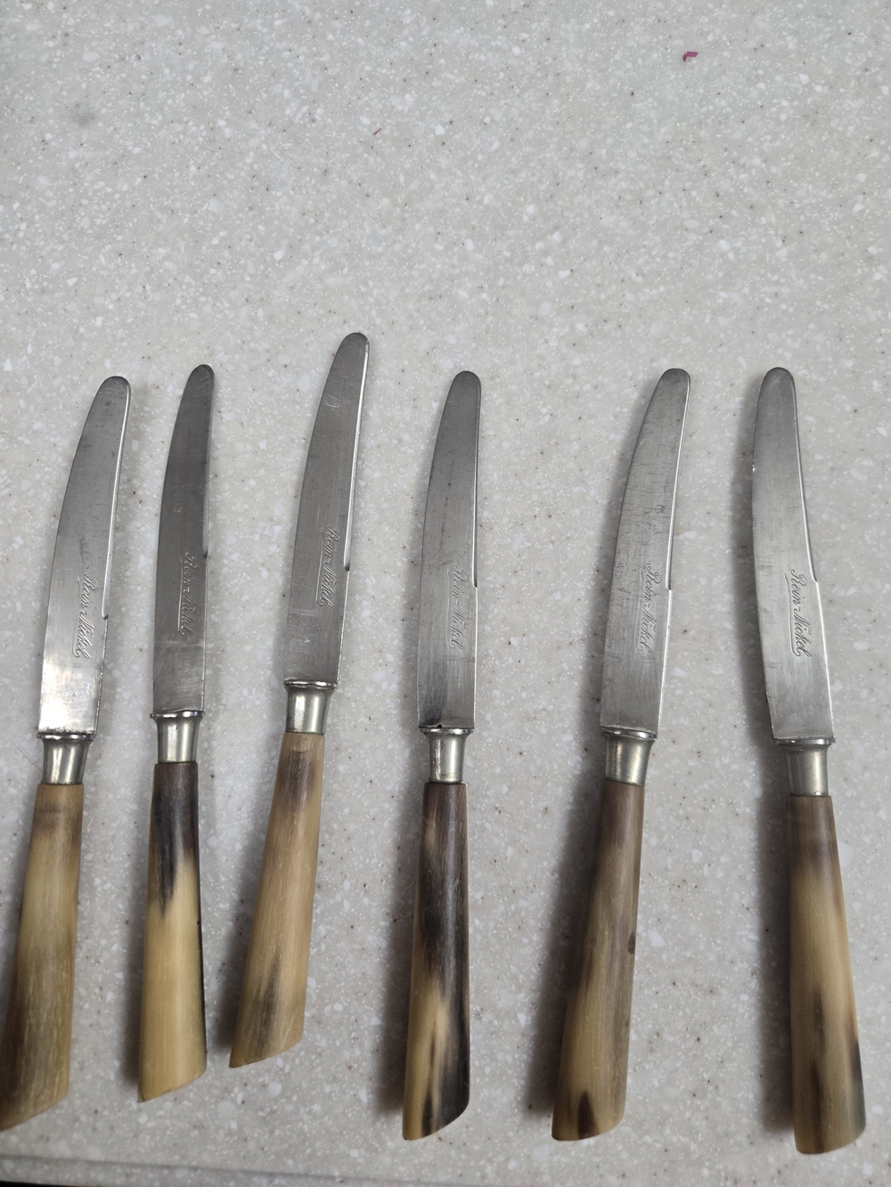 Vintage Rein-Nickel Horn-Handle Dinner Knife Set - 6 Piece